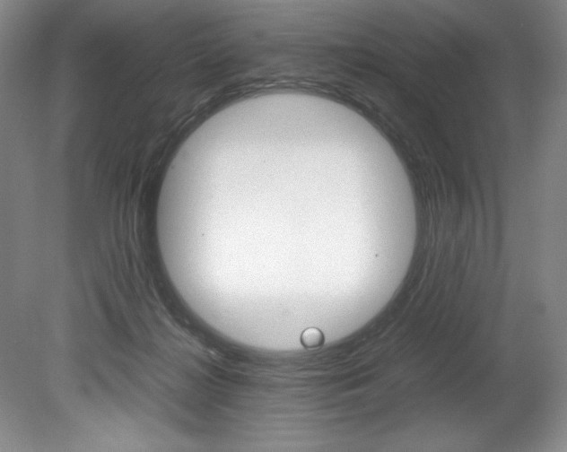 X0000078840268200611131005