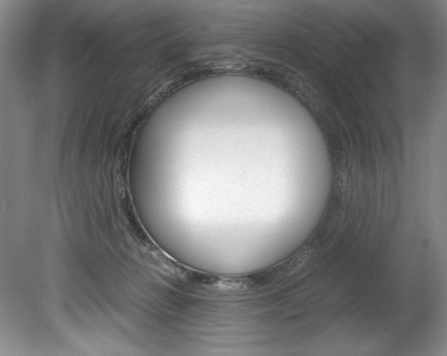 X0000078840270200611131005