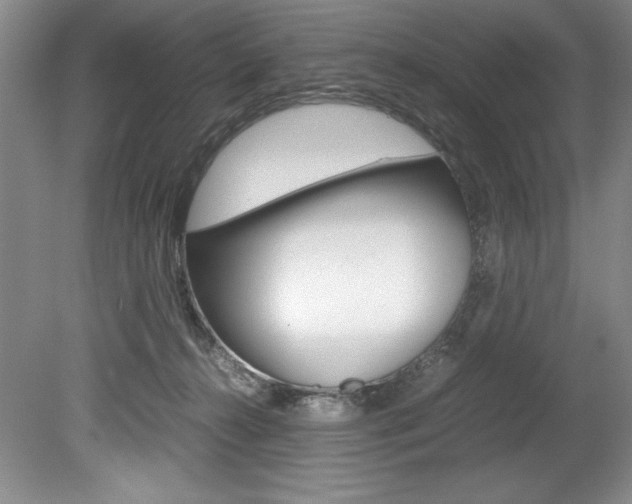 X0000078840272200611131005