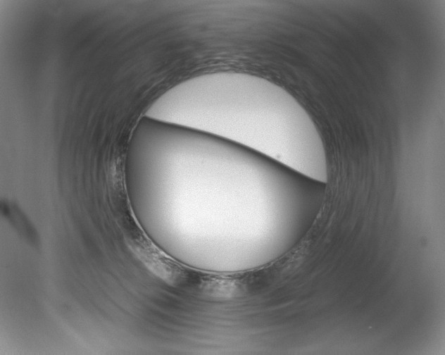 X0000078840276200611131005