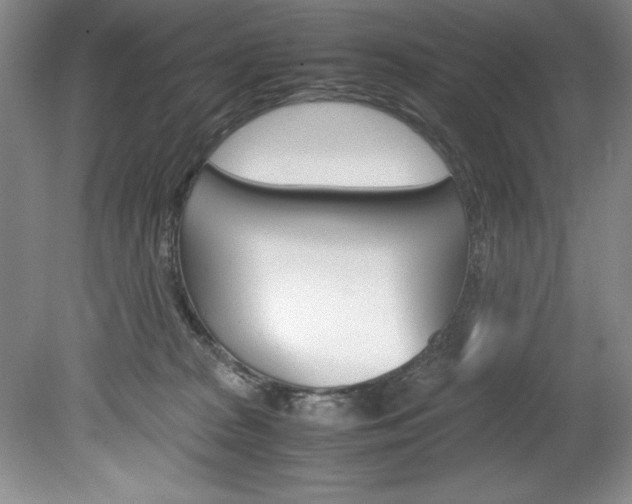 X0000078840277200611131005