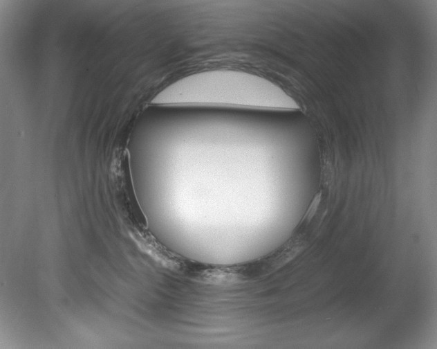 X0000078840284200611131006