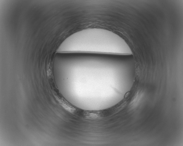 X0000078840285200611131006
