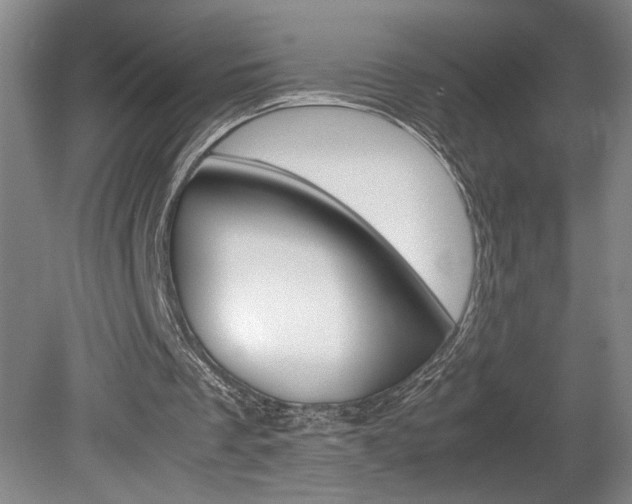 X0000078840289200611131005