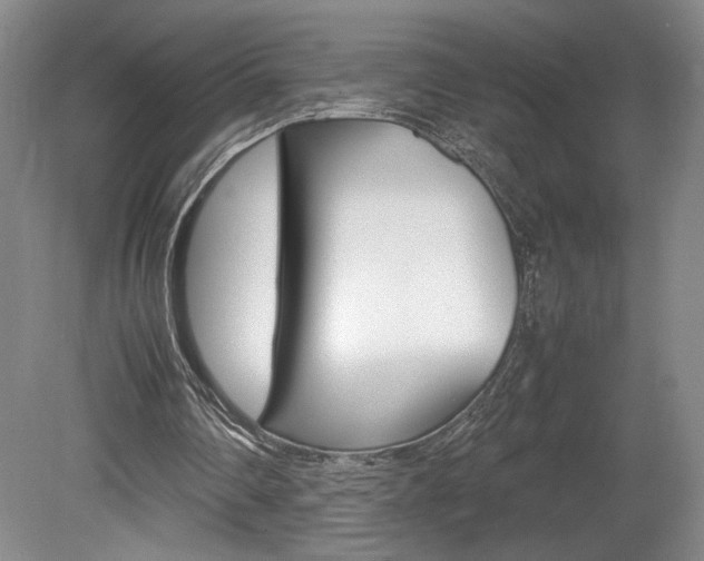X0000078840290200611131005