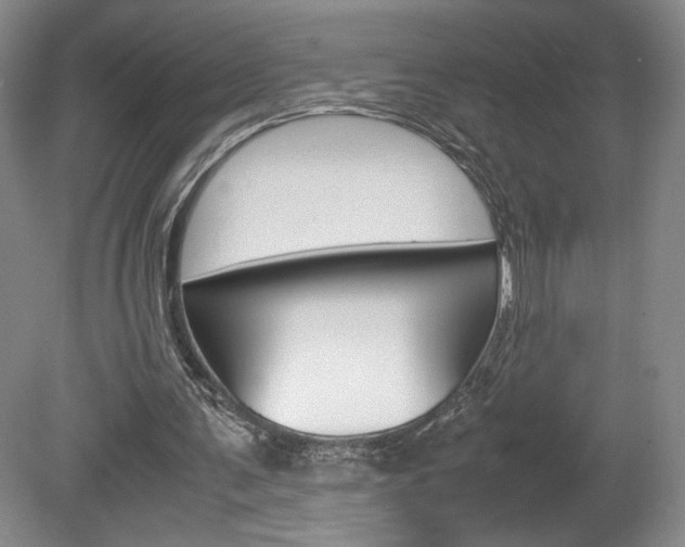 X0000078840291200611131005