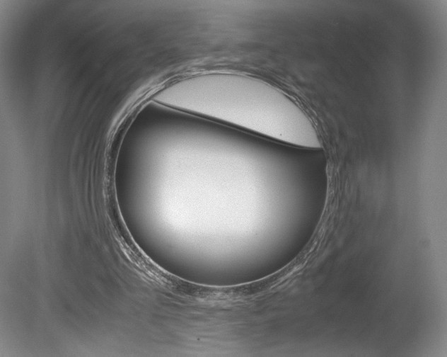 X0000078840293200611131005