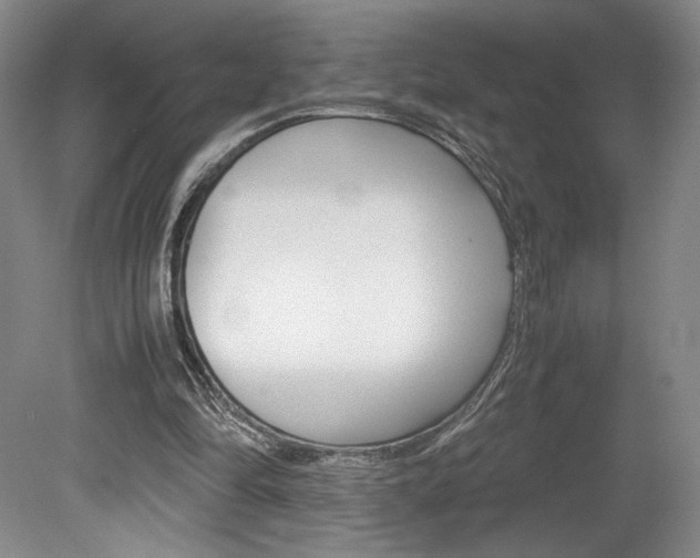 X0000078840294200611131005