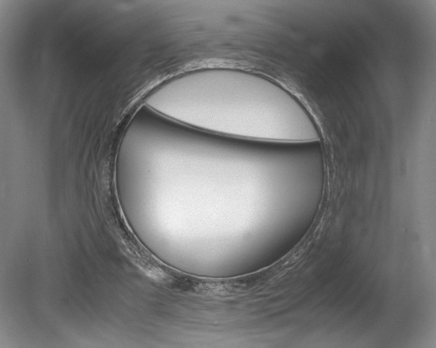 X0000078840297200611131005