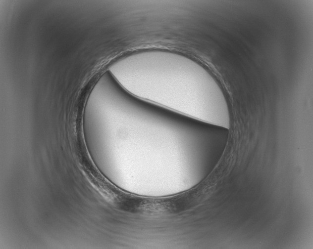 X0000078840299200611131005