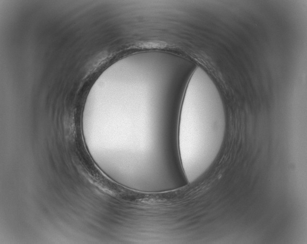X0000078840300200611131005