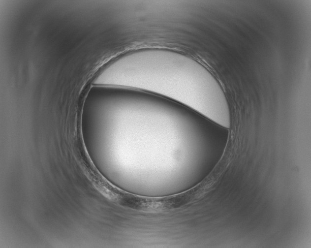 X0000078840301200611131005