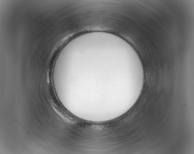 X0000078840302200611131005