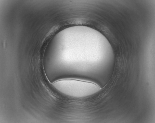 X0000078840304200611131005