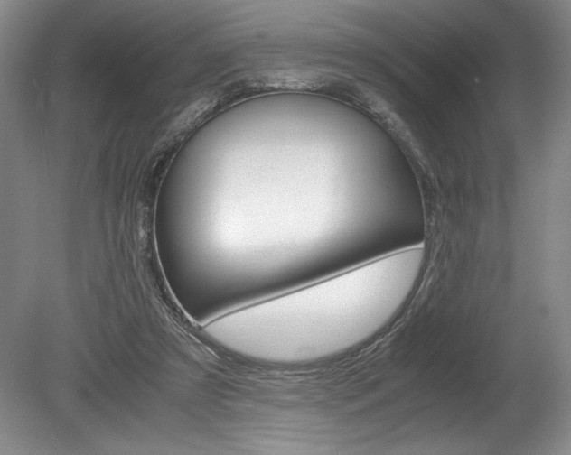 X0000078840305200611131005