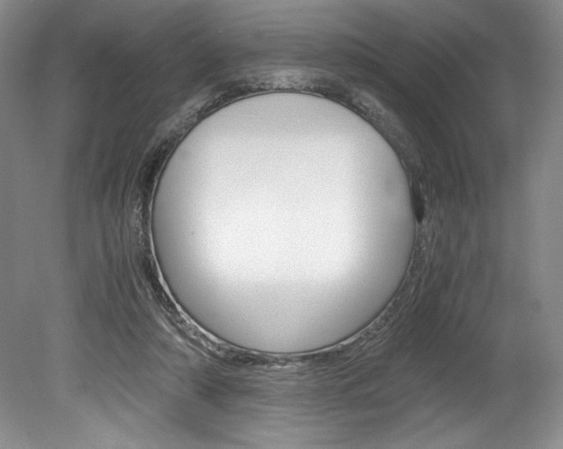 X0000078840306200611131004