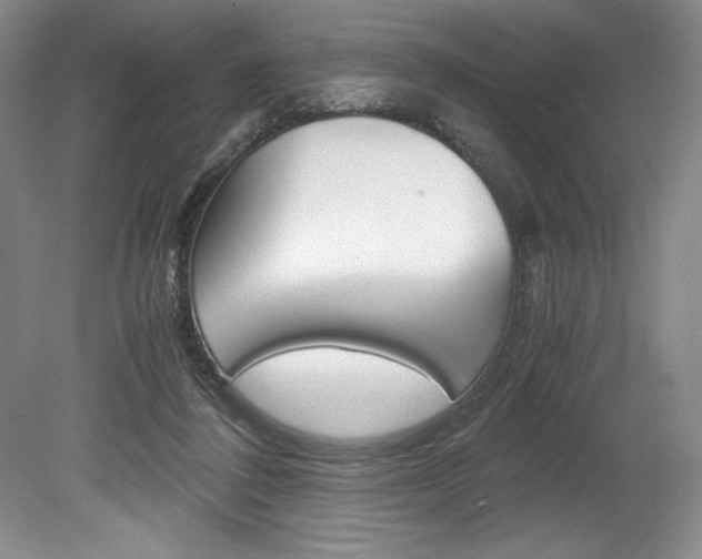 X0000078840308200611131004