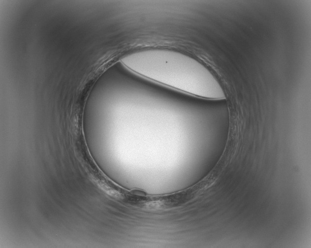 X0000078840309200611131004