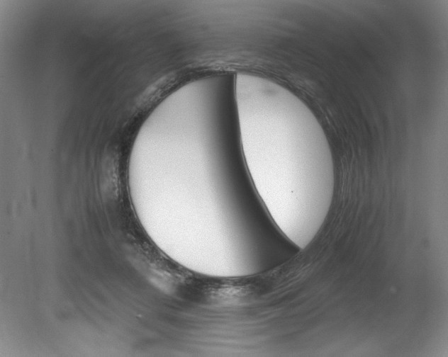 X0000078840312200611131004