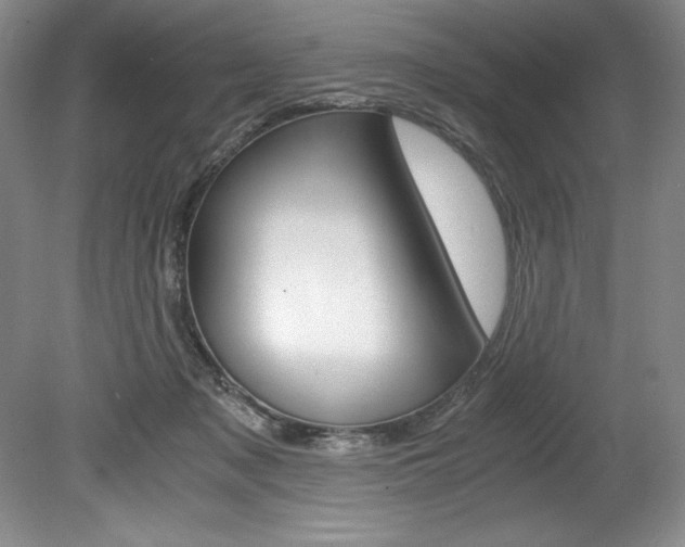 X0000078840317200611131004
