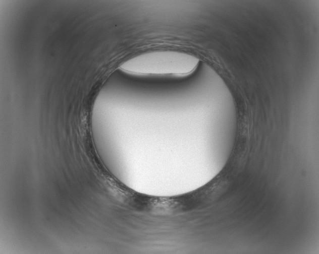 X0000078840321200611131004