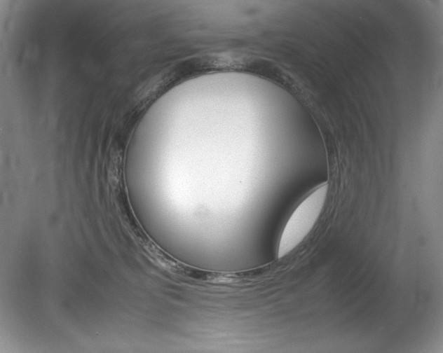 X0000078840325200611131004