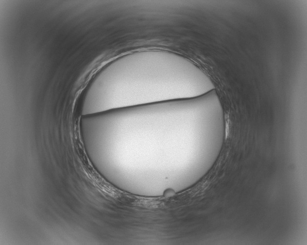 X0000078840339200611131003