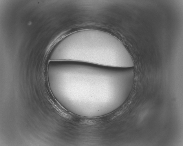 X0000078840341200611131003