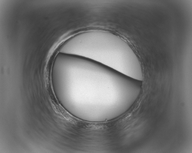 X0000078840343200611131003