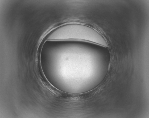 X0000078840344200611131003