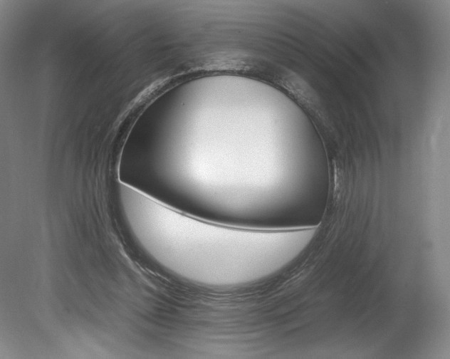 X0000078840348200611131003