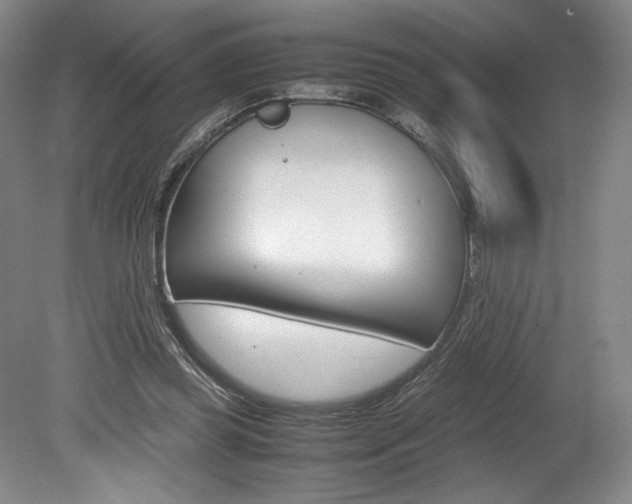 X0000078840349200611131003