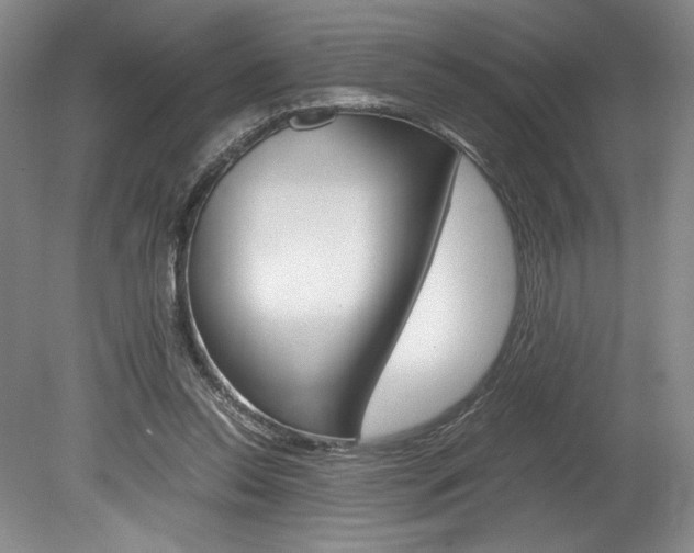X0000078840350200611131003