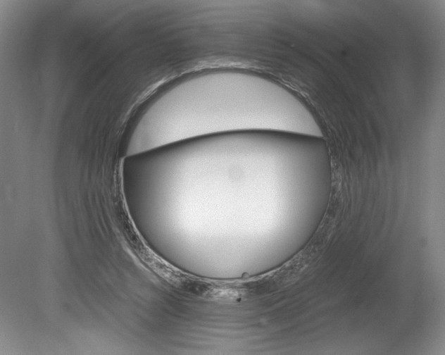 X0000078840352200611131003