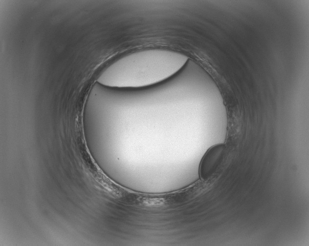 X0000078840355200611131003