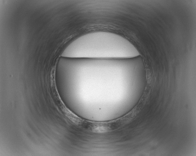X0000078840360200611131004