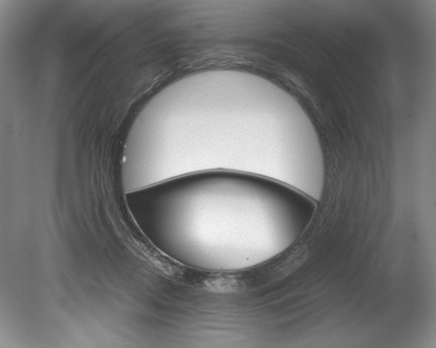 X0000078840362200611131004