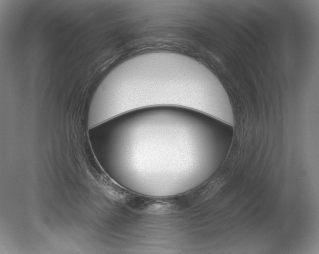 X0000078840364200611131004