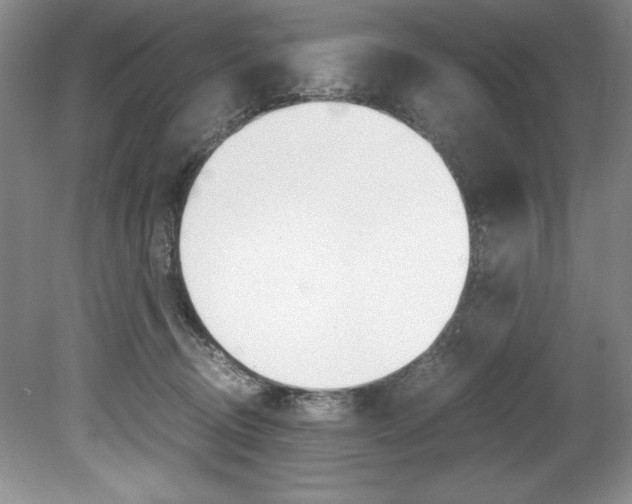 X0000078840370200611131004