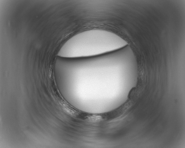 X0000078840374200611131004