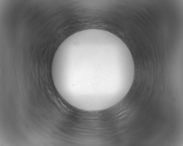 X0000078840380200611131004