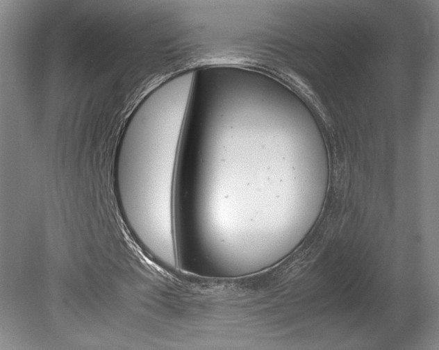 X0000078840385200611131003