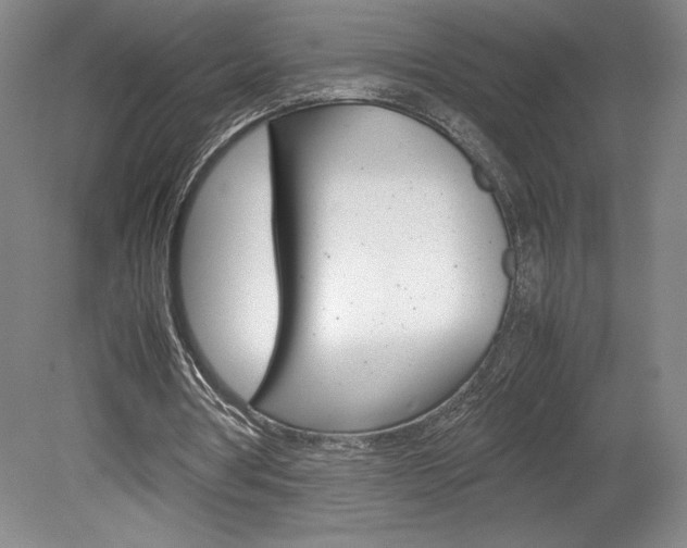 X0000078840386200611131003