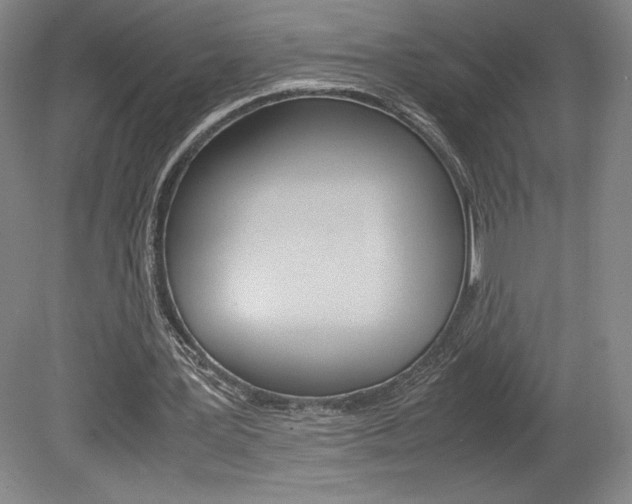 X0000078840387200611131003