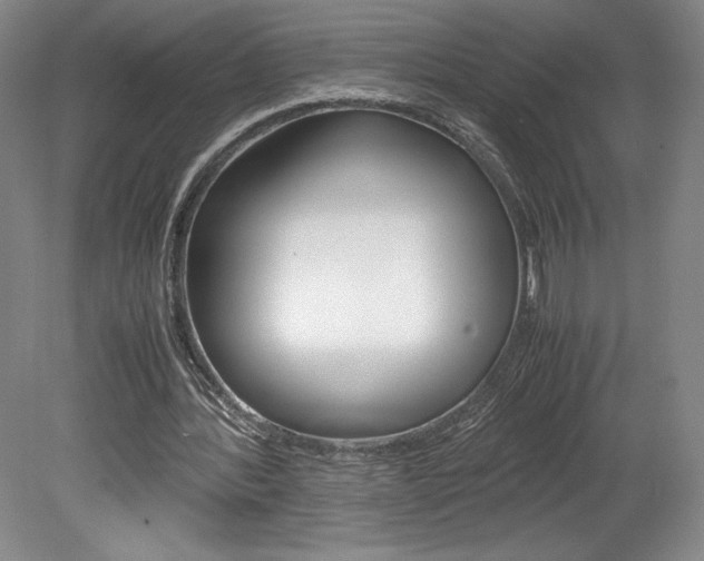 X0000078840388200611131003