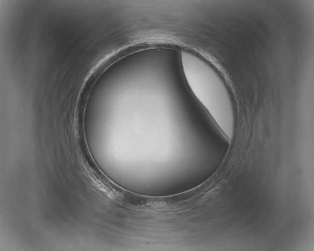 X0000078840391200611131003