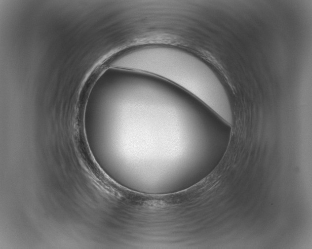 X0000078840392200611131003
