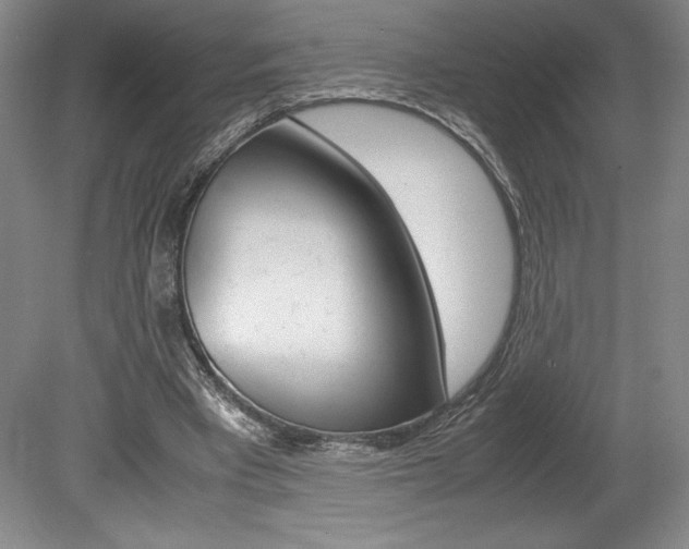 X0000078840393200611131003