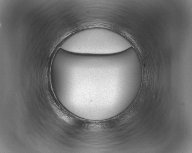X0000078840394200611131003