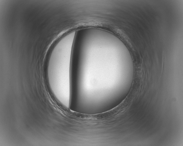 X0000078840395200611131003